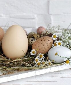 Ambiente Pastel Eggs Papieren Servetten