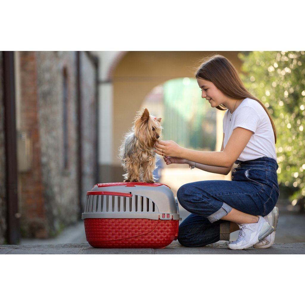Bama Pet Transportbox 59x38x37 cm Rood/Zilver - Afbeelding 3