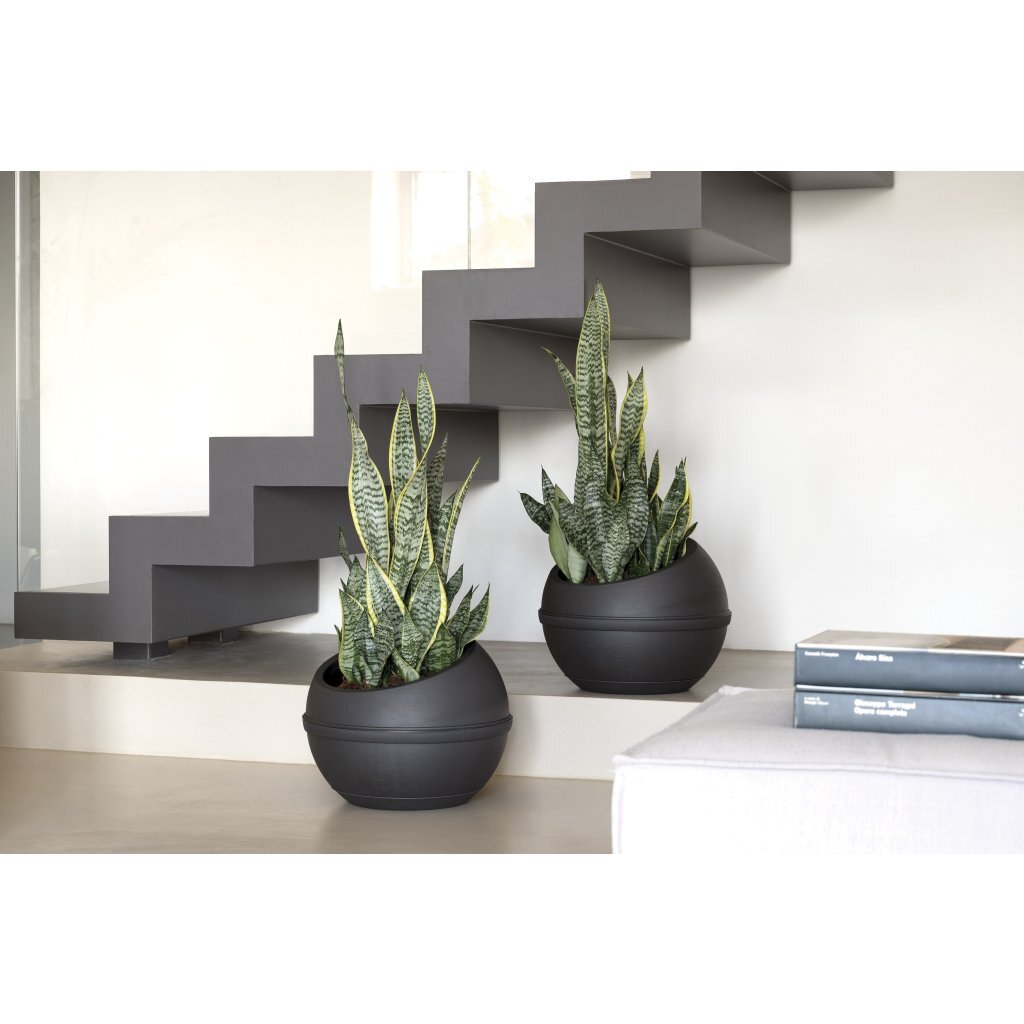 Bama Sfera Bloempot 23L 40.5x32 cm Antraciet - Afbeelding 4