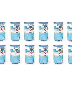 Intex 29000 Filter Cartridge Type A 12 Stuks voor Zwembad 244/305/366 cm
