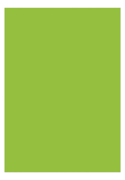 Kangaro K-0043F275 Papier A4 120gr Pak A 100 Vel Groen