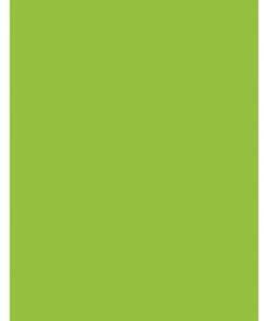 Kangaro K-0043F275 Papier A4 120gr Pak A 100 Vel Groen