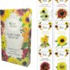 OwnGrown Zonnebloemenzaden set 6 verschillende soorten zonnebloemen Voor binnen