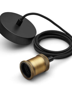 Philips Vintage Cord 1x60w Gold