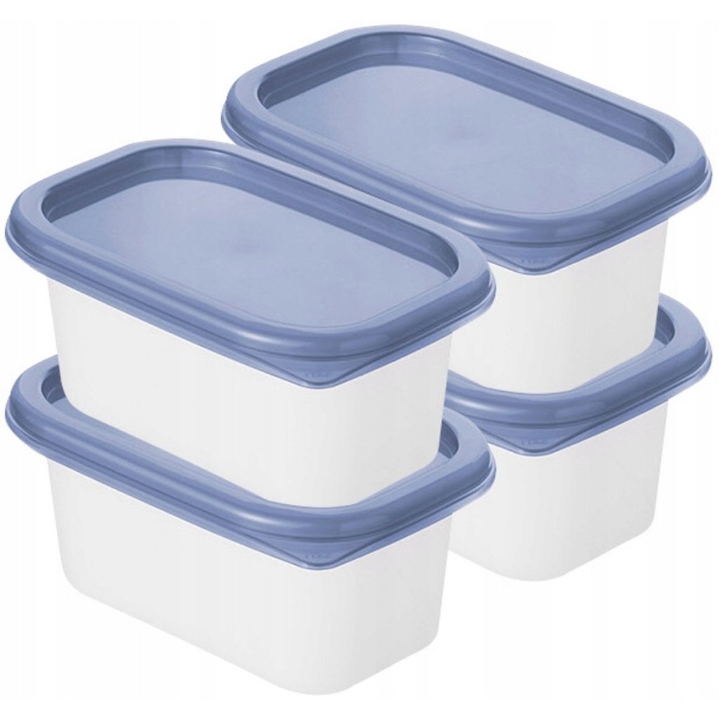 Rotho Domino Diepvriesdozen 4x0.2L Horizon Blauw/Wit