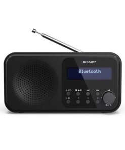 Sharp DR-P420 Radio Zwart
